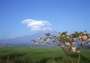 北海道の貸切バスなら「バス旅ねっと」で