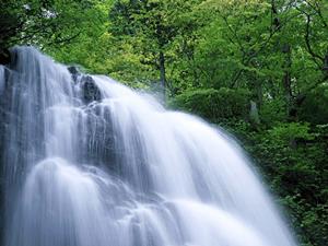 福岡市博多駅近くの快適ビジネスホテル【東横INN博多口駅前】の特徴と魅力