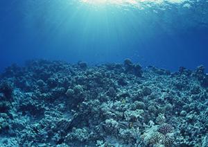 神戸駅徒歩5分のビジネスホテル｜東横INNJR神戸駅北口の魅力と詳細情報