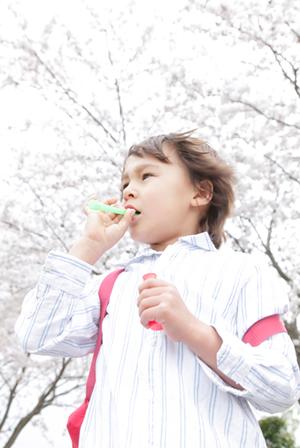 東横INN品川大井町：快適でお得なビジネスホテルの魅力と詳細情報