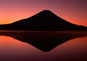 京都を旅するならおすすめ!東横INN京都二条城南の魅力と宿泊情報