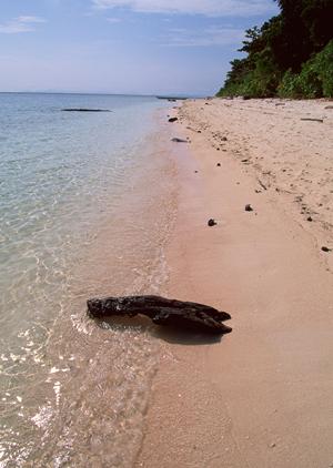 JR九州ホテル宮崎 – 快適さと利便性を兼ね備えた宿泊施設