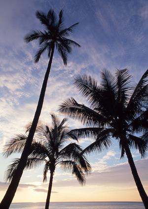 横浜観光とビジネスに最適！東横INN横浜スタジアム前2の魅力と最新情報