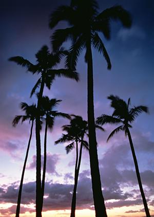 汐留駅徒歩1分の快適なビジネスホテル｜ホテル ヴィラフォンテーヌ グランド東京汐留の魅力と施設情報