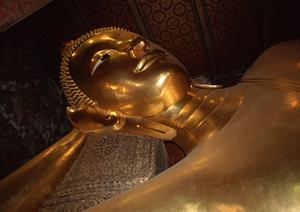 成田空港利用者必見！東横INN成田空港本館の魅力と便利なサービスガイド