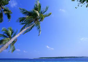 京急川崎駅徒歩1分！【公式】東横INN Jr.川崎駅前｜神奈川県川崎市の格安ビジネスホテル