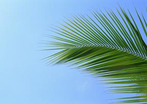 横浜市関内のビジネスホテル【東横INN横浜関内】：快適な滞在と便利なアクセスを実現する特徴と魅力