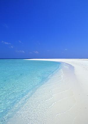 東横INN小山駅東口2｜快適なビジネス＆観光滞在を実現する栃木県小山の便利ホテル