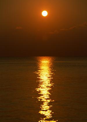 韓国・釜山のビジネスと観光に最適な東横INN釜山海雲台2の魅力と詳細情報