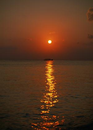 近鉄奈良駅徒歩1分のビジネスホテル：東横INN近鉄奈良駅前の魅力と利用ポイント