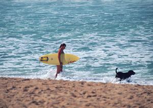 郡山駅から徒歩7分！快適でリーズナブルなビジネスホテル【東横INN郡山】の魅力と詳細情報