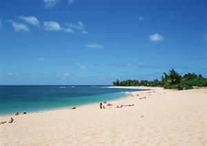 システムメンテナンスのお知らせと今後のサービス向上について