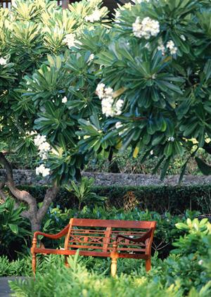 東横INN新宿歌舞伎町:ビジネスと観光に最適な快適ステイを実現するホテル